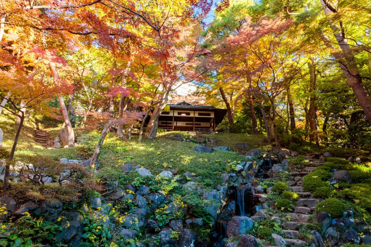 殿ヶ谷戸庭園の紅葉