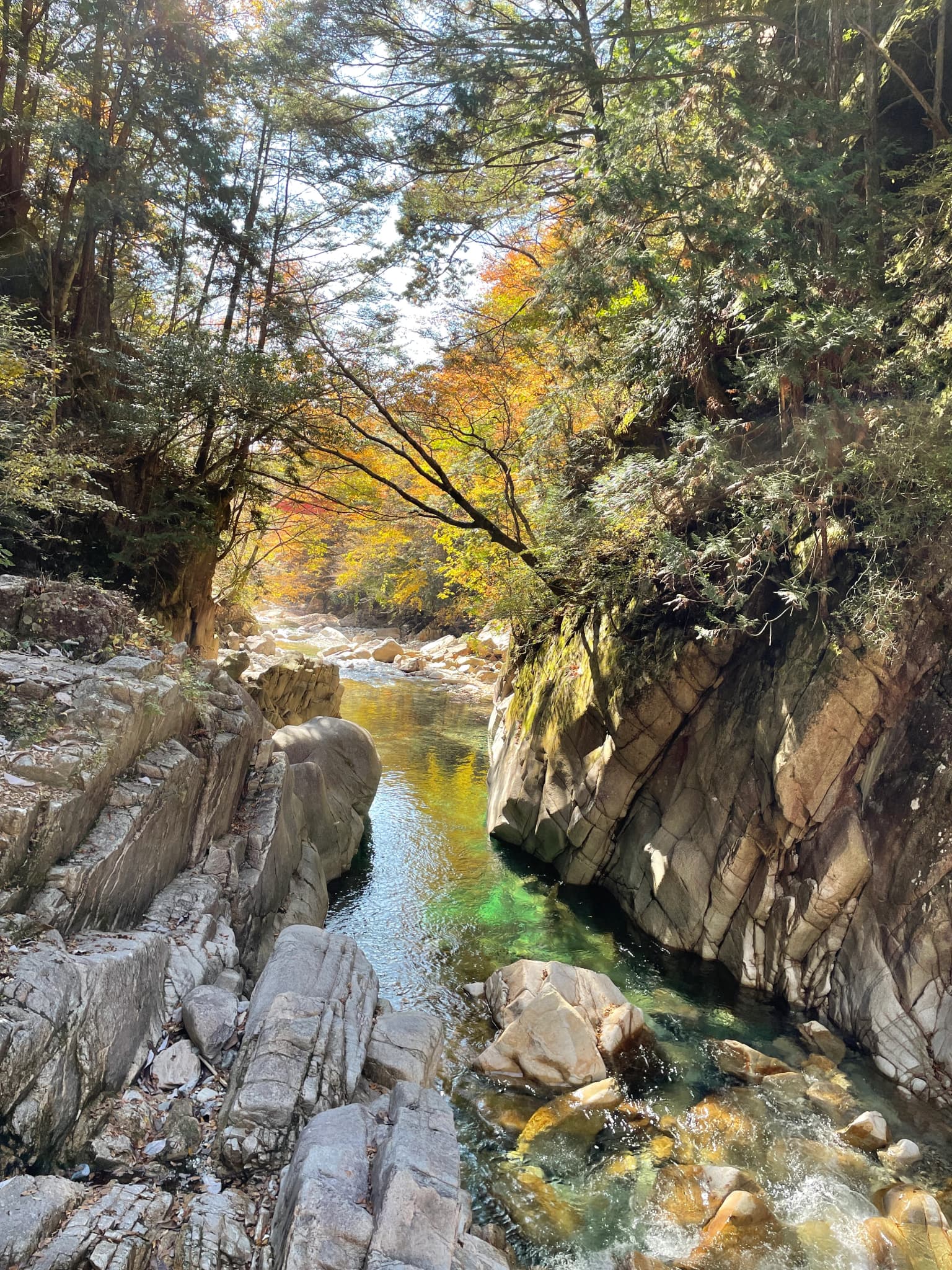 Autumn leaves in Kakiso Valley