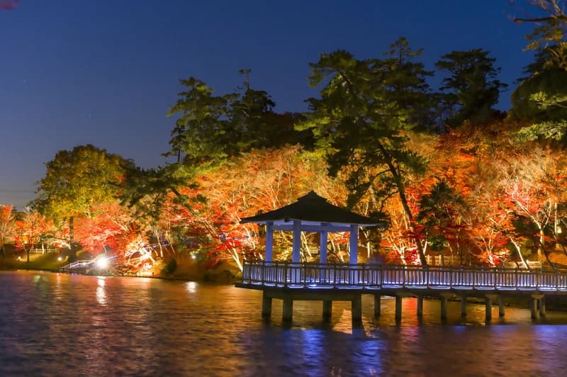 Okazaki City Higashi Park Autumn Leaves Festival