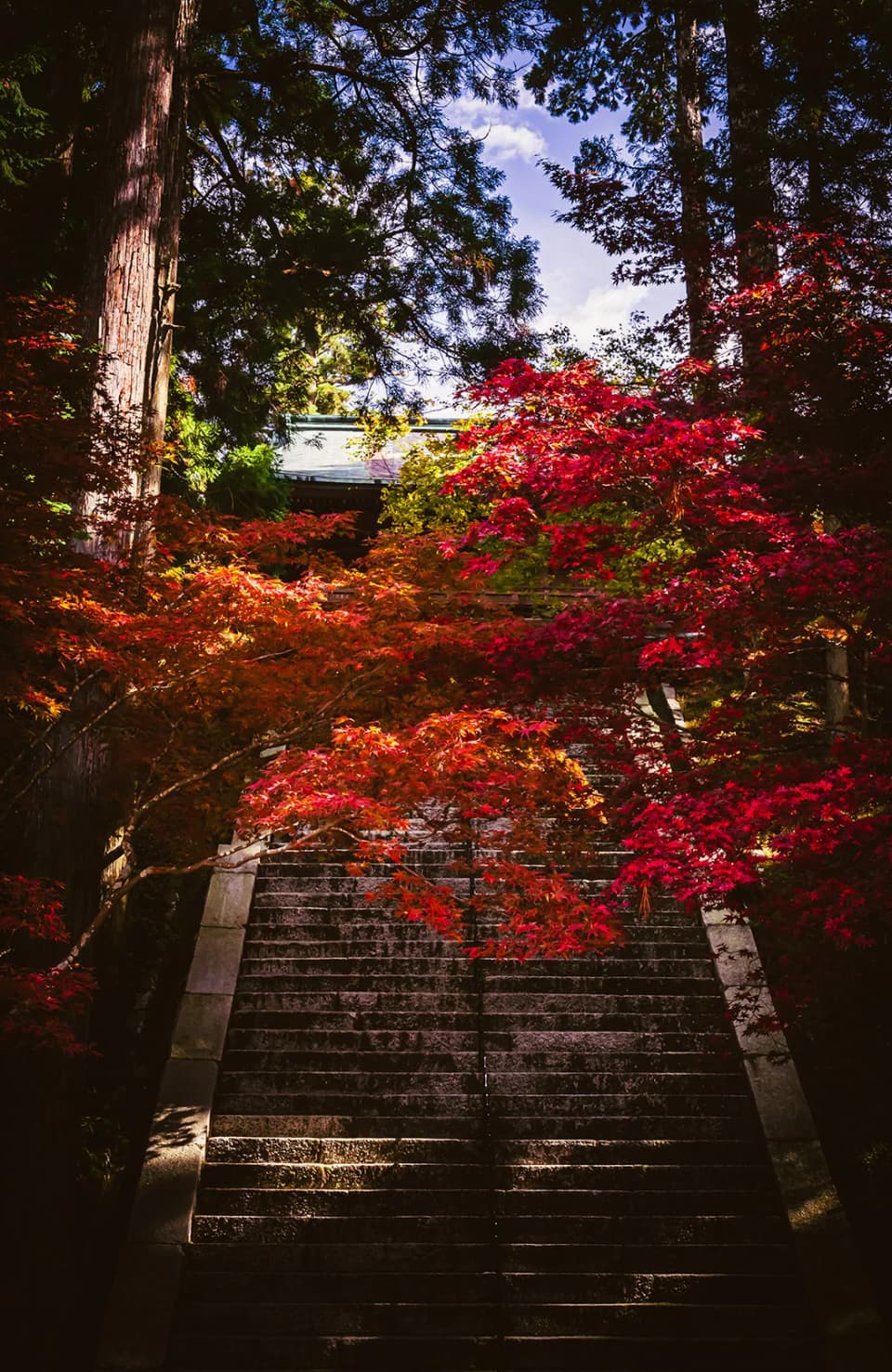 比叡山延暦寺の紅葉