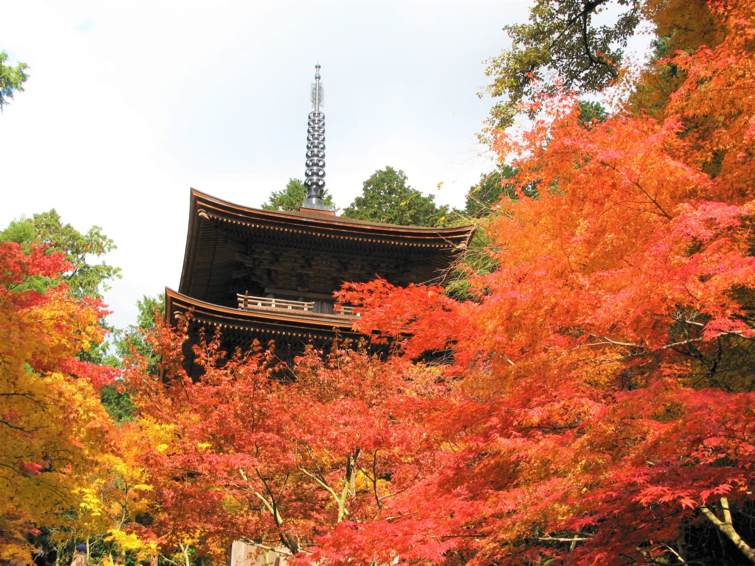 湖東三山　金剛輪寺の紅葉