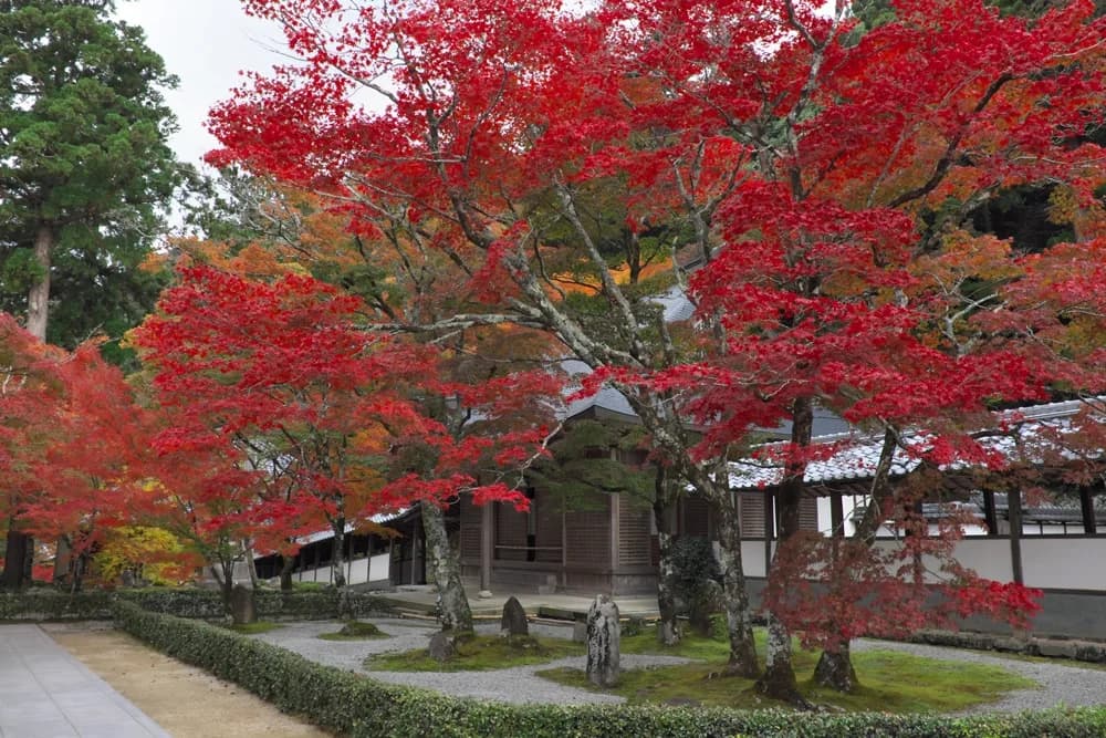 大本山　永源寺の紅葉