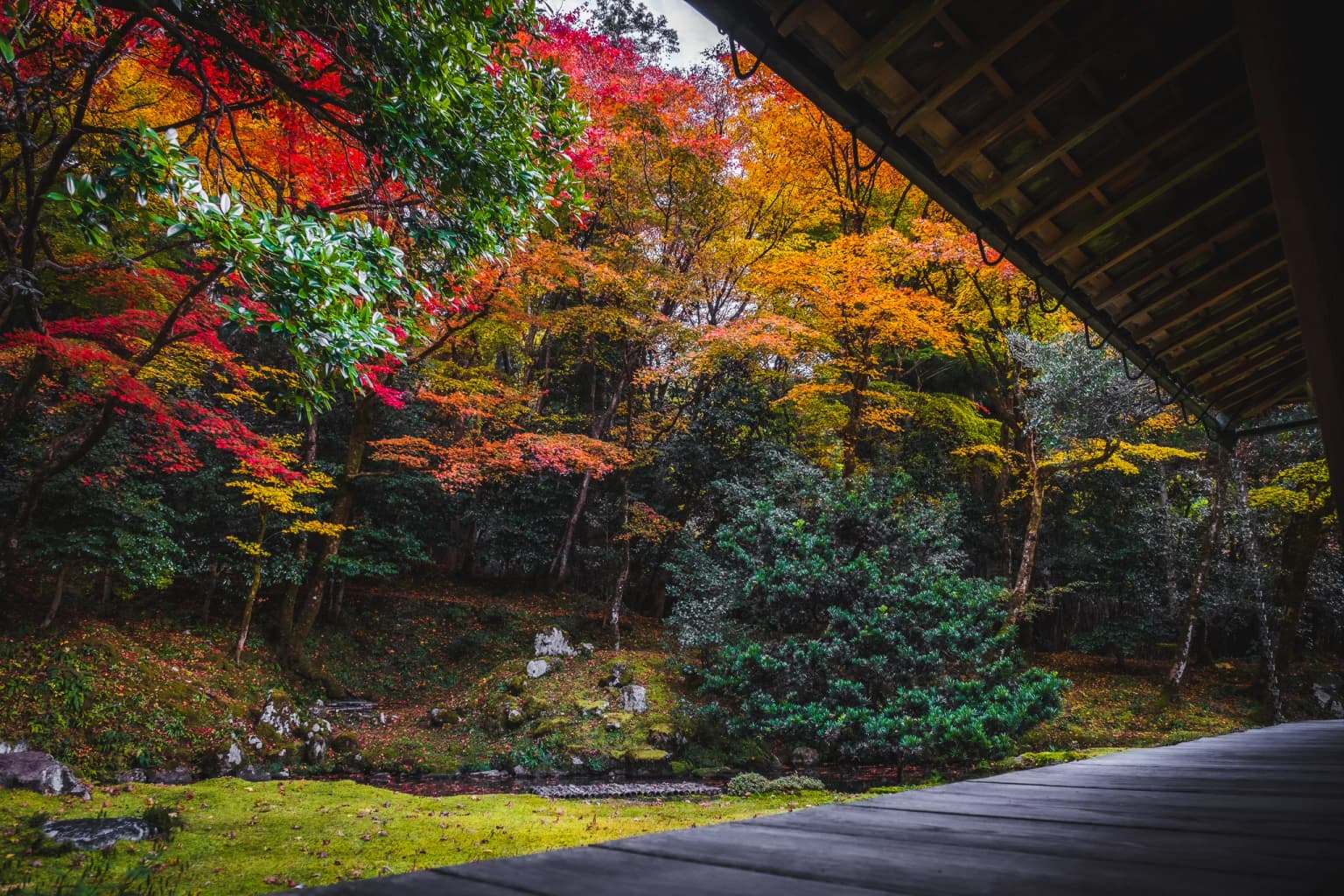Autumn leaves of Omi Koho-an Temple