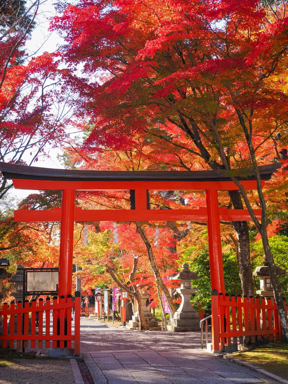大原野神社の紅葉