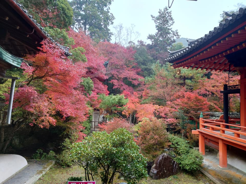 京都　山科・毘沙門堂の紅葉