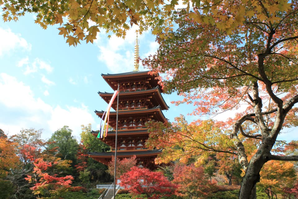 成相寺の紅葉