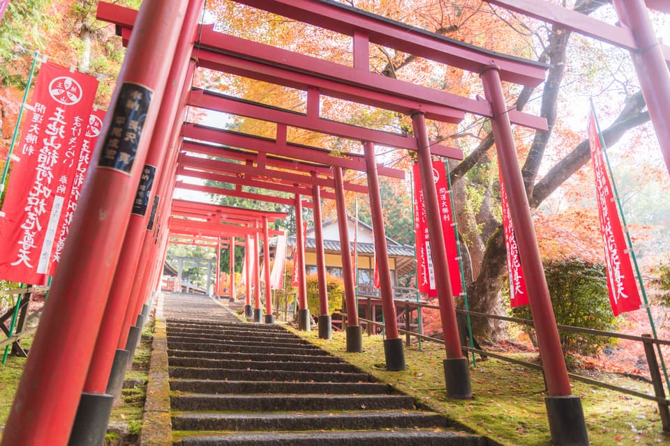 王地山公園の紅葉