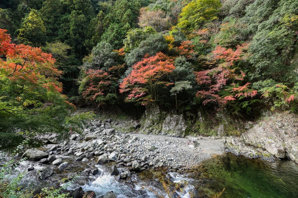 玉川峡の紅葉