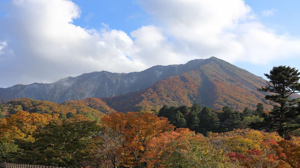 大山（大山寺エリア）の紅葉