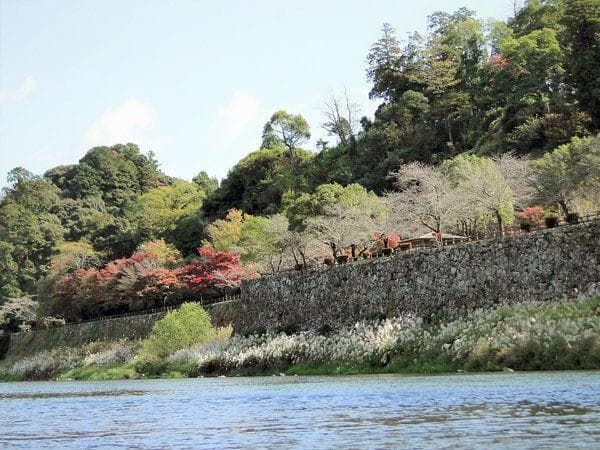 人吉城跡周辺（球磨川沿岸）の紅葉
