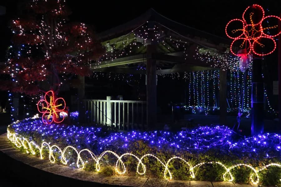 Light and Sound Pageant 2025 Poster
