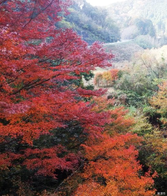 Scenery along Momiji Road Prefectural Road No. 182