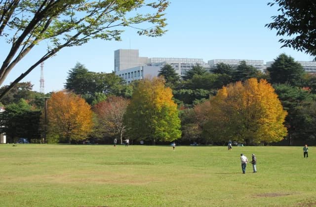 Square in Wako Jurin Park