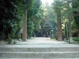 Takamatsu Hachimangu Forest