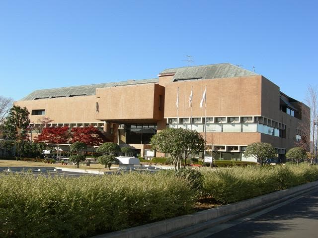 Overview of the Museum