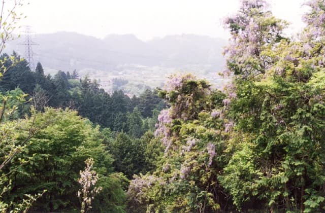 Fuji of Ooguno