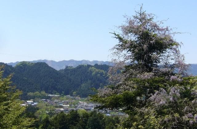 Fuji of Ooguno