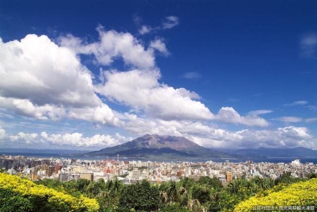 View from the Nagashima Museum of Art