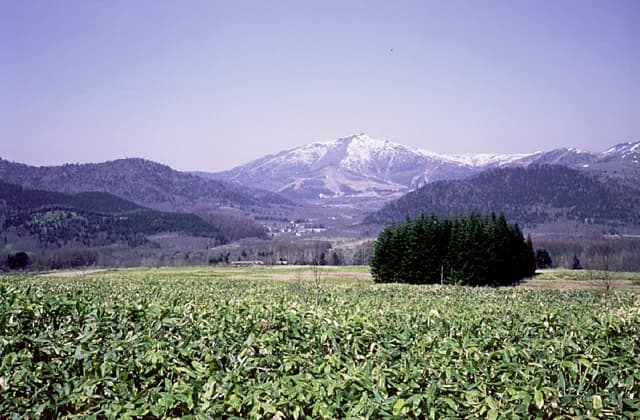 Mt. Tomamu
