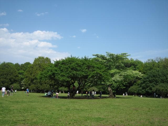 古代芝生広場