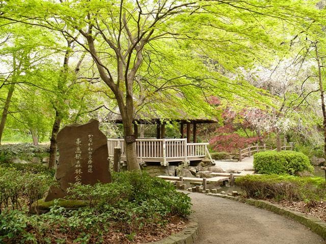 かながわの景勝50選石碑