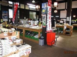 Freshly picked vegetable market oysters