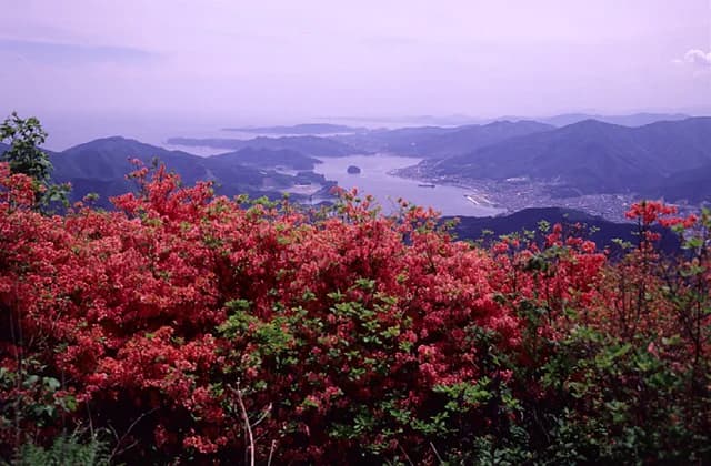 View from the top of the mountain. You can see Ofunato Bay. (June)