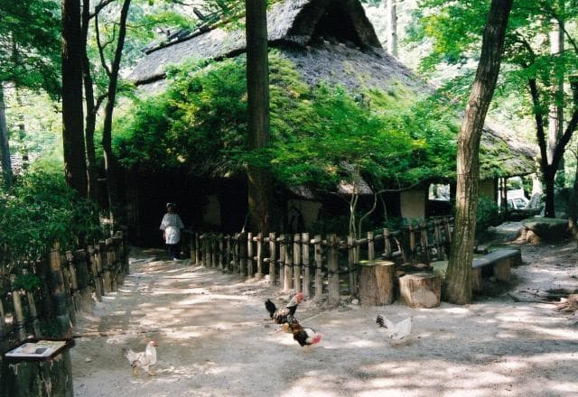 Mitaki Garden