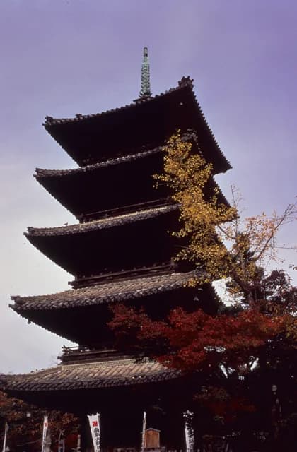 Autumn leaves of Kosho-ji Temple