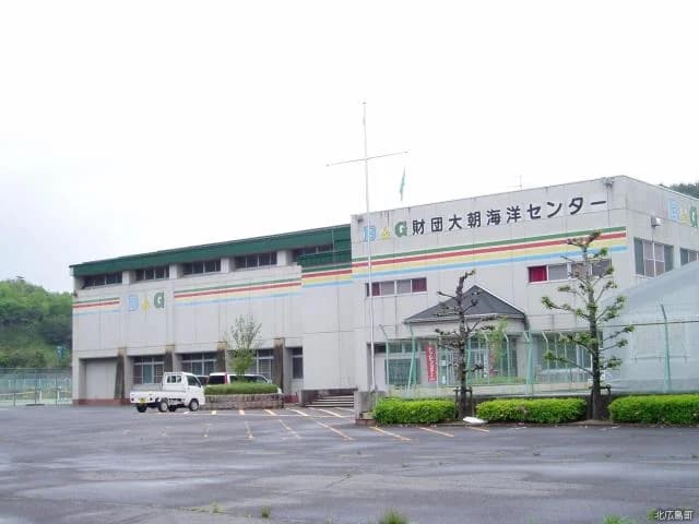 Oasa Sports Park