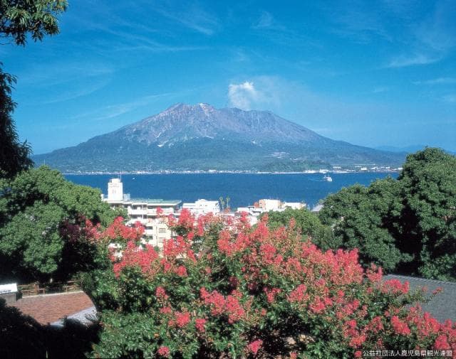 Sakurajima and Salsberg
