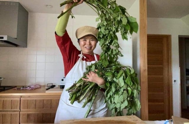 Minpaku "Fukuen no Yado"