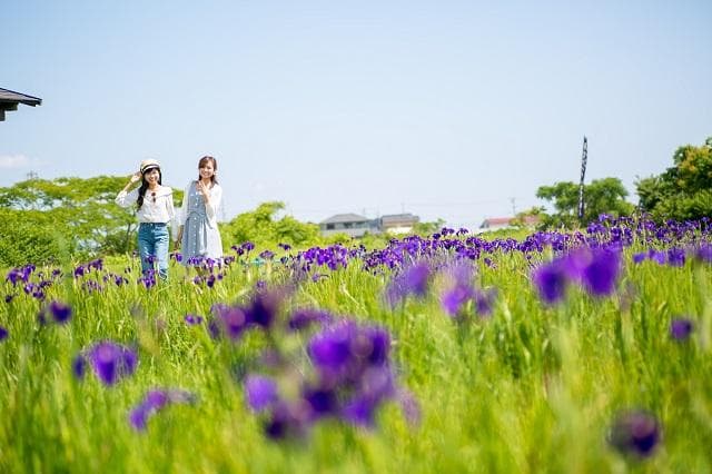 Hanashobu community in Saimiya