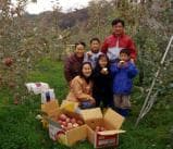 The owner of an apple tree