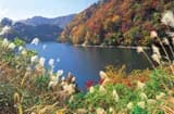 Lake Domoto