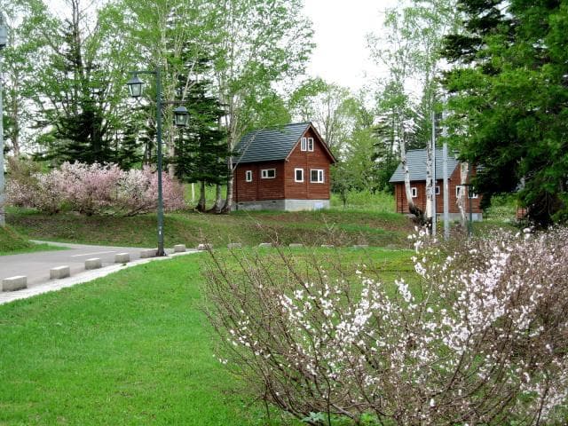 湖畔キャンプ場