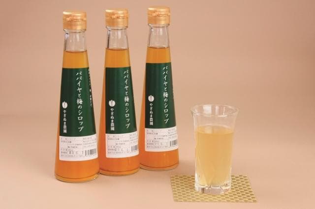 那珂パパイヤと梅のシロップ