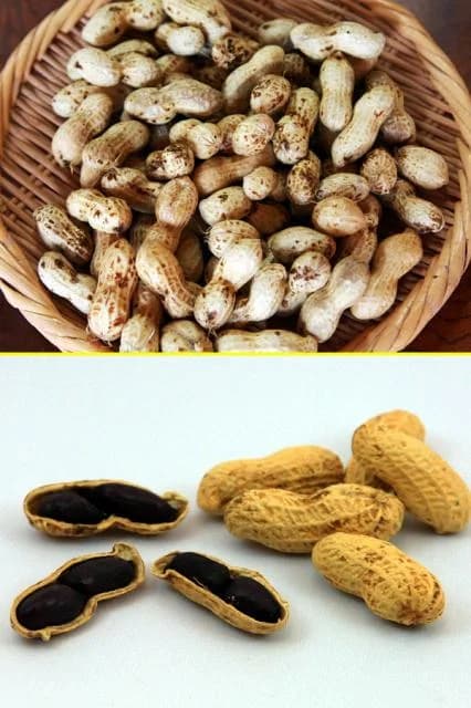 Peanuts