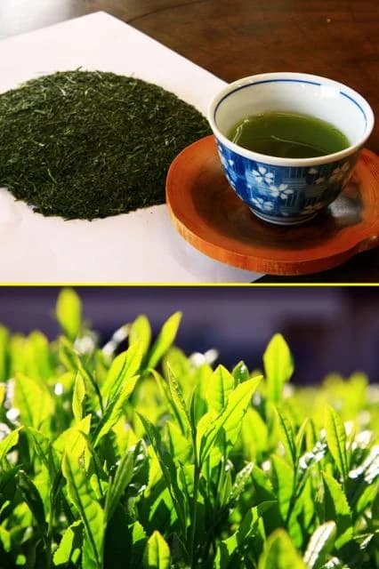 Tea