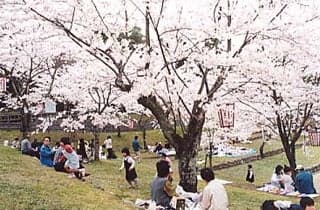Atagoyama Park
