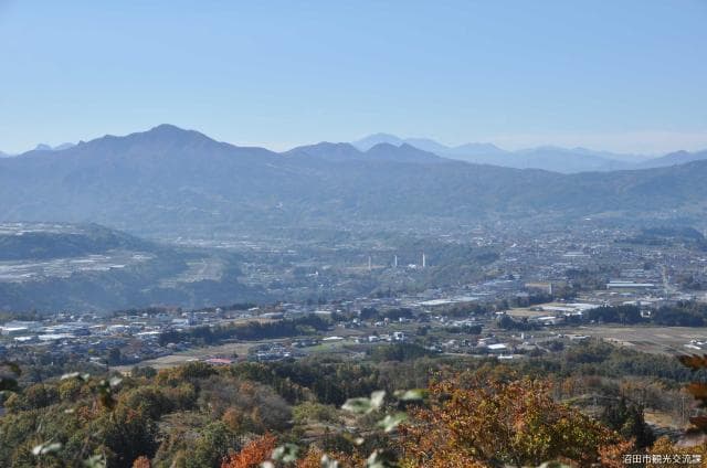River terraces (Shinjuku Forest)