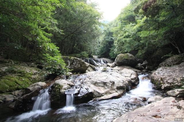 滑床渓谷・鬼ヶ城山系