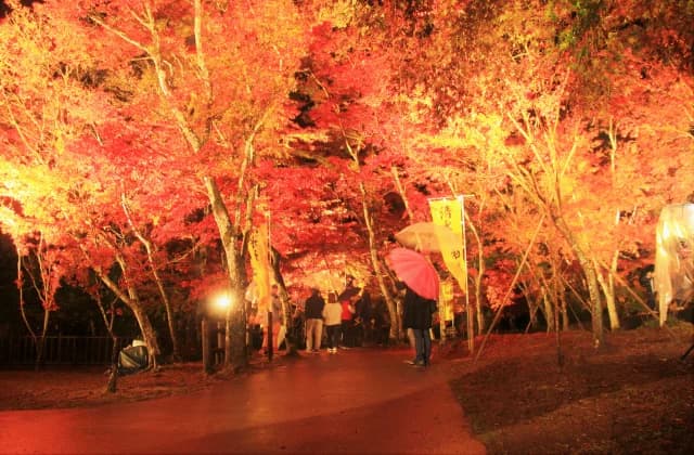 Autumn leaves of Sogi Falls