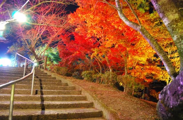 The autumn leaves of Soginotaki Park