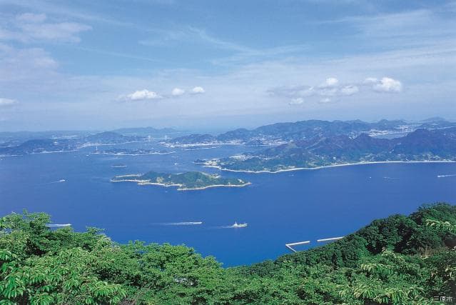 View from the brush Kageyama