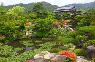 Mori-shi Garden Azalea 4