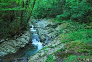 Nanagama (Mikimitsu Falls) 2010.5.30