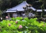 Seishin-ji Temple