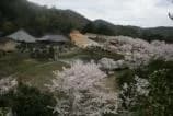 Seishin-ji Temple