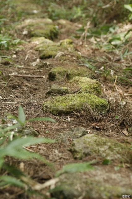 Top 100 History Roads "Miyazu Kaido Oeyama Fukko Pass Over"